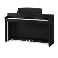 Kawai CN301 88-Key Digital Pia Picture